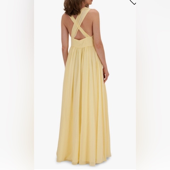 NWT Sachin + Babi Kenzia Lemon Drop Maxi Gown Dress size 10 - Picture 3 of 12